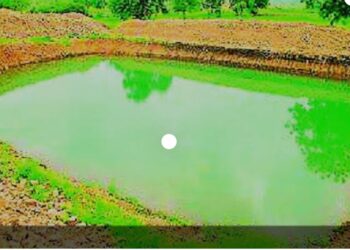 image editor output image 1175454417 1685445887490