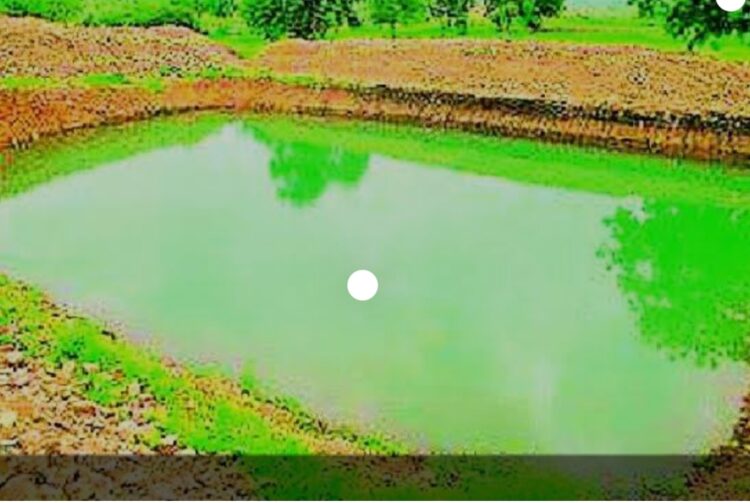 image editor output image 1175454417 1685445887490