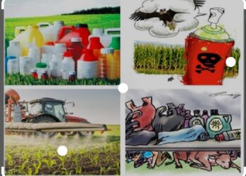 image editor output image 2003523879 1685446070406