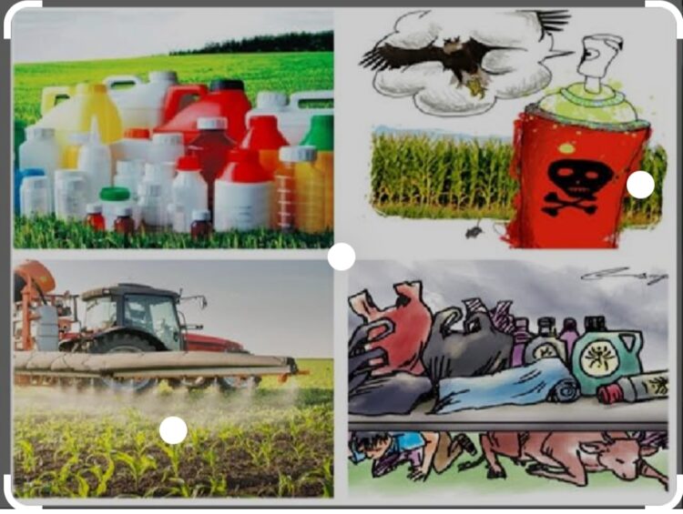 image editor output image 2003523879 1685446070406