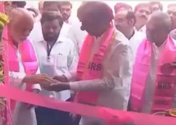 image editor output image 1451395537 1686925696793