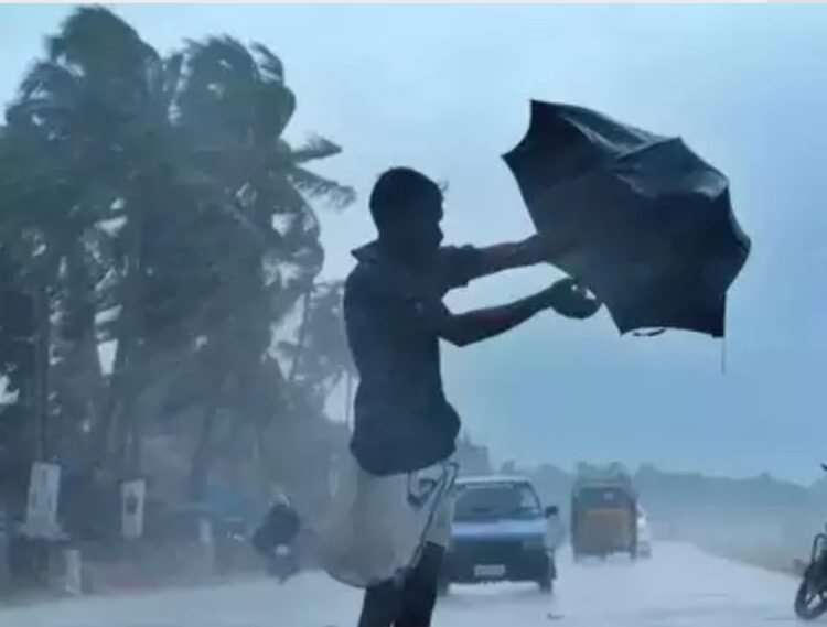 image editor output image 1557930651 1686221232421