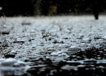 image editor output image1419992139 1687608642514