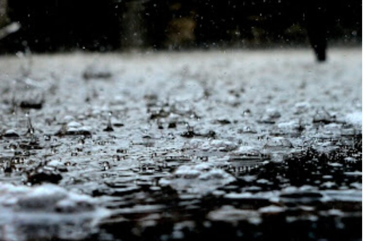 image editor output image1419992139 1687608642514