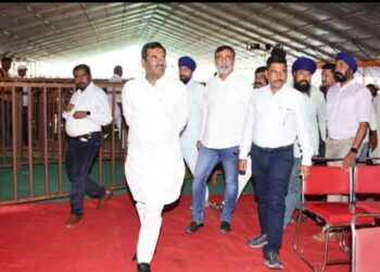 image editor output image1844846509 1687531695745