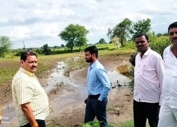 Picsart 23 07 31 16 29 57 055