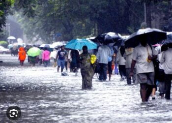 image editor output image 1897413112 1690452792007