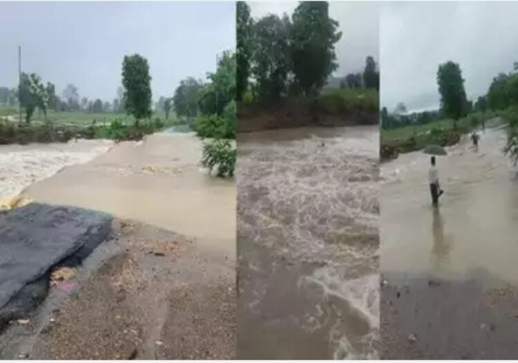 नांदेडला मुसळधार पावसाने झोडपलं, ७ मंडळात अतिवृष्टी; पूर आल्याने गावांचा संपर्क तुटला 1 image editor output image 2003987283 1690468177487