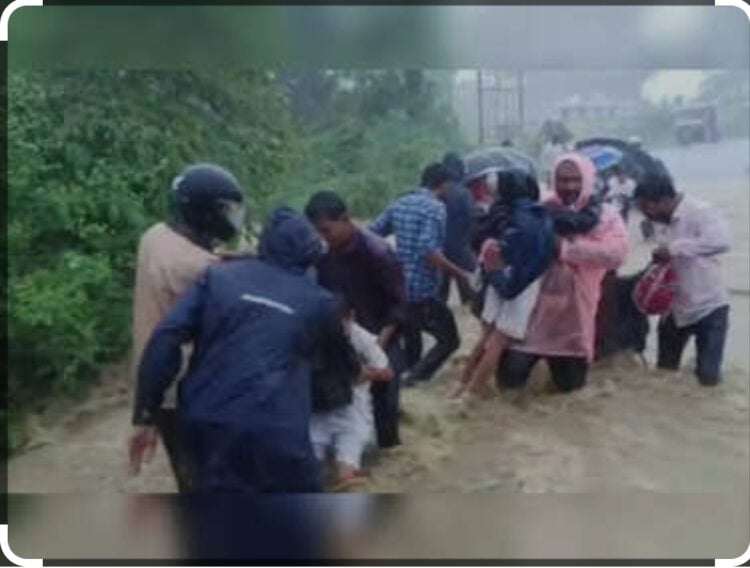 image editor output image 3859599 1689930321351