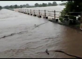 image editor output image129590651 1690020105448