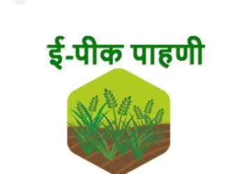 image editor output image 1164596427 1692963382237