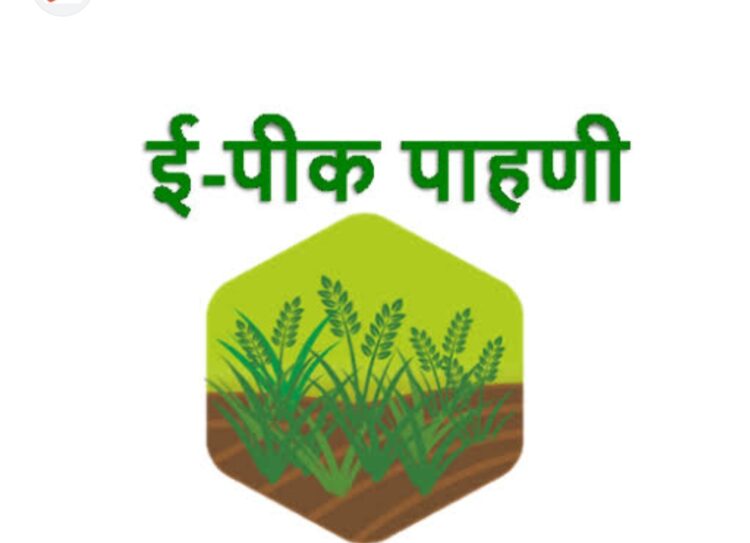 image editor output image 1164596427 1692963382237