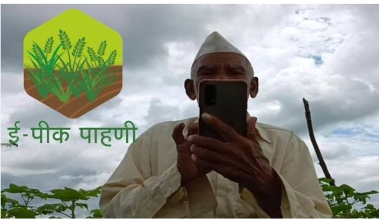 ई-पीक पाहणी ॲपद्वारे पीक पेरा नोंदविण्याचे शेतकऱ्यांना आवाहन 1 image editor output image 196433302 1692687239461