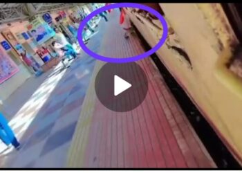 image editor output image 2019577137 1692783901013