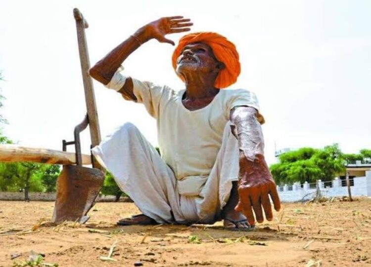 शेतकऱ्यांना आणखी ७ दिवस पावसाची वाट पाहावी लागणार 1 image editor output image 994287545 1691826088623