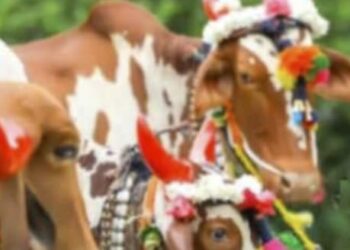 IMG 20230914 WA0000 1