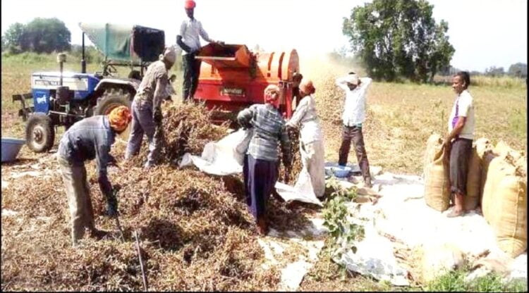 image editor output image 917546602 1698058962616