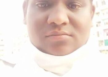 image editor output image 988084678 1700239328946