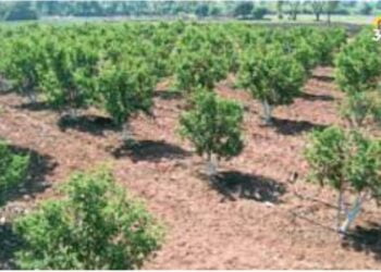 image editor output image1547503413 1701343849262