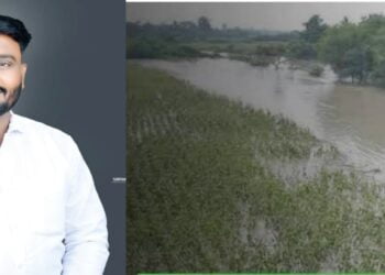 Picsart 23 12 02 14 18 06 208