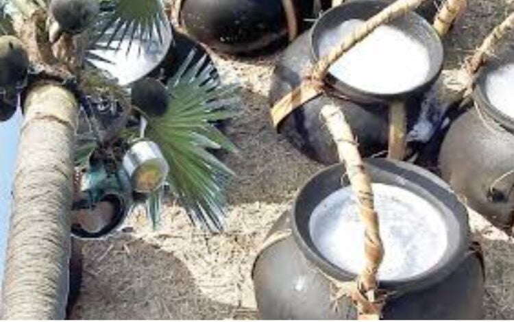 image editor output image 1292278116 1703769682432