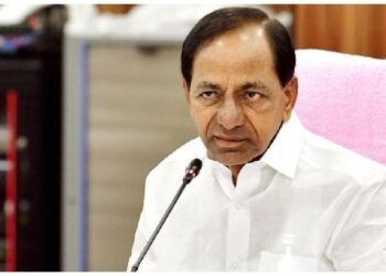 image editor output image 1739659197 1701593539876