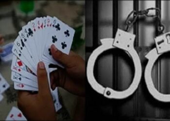 image editor output image 1912111660 1703513516112