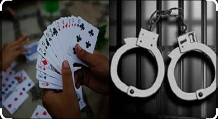 image editor output image 1912111660 1703513516112