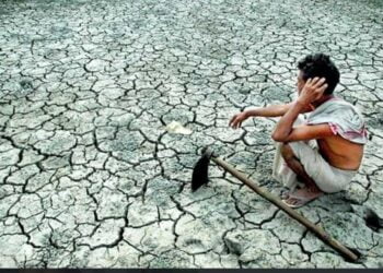 image editor output image 1997559117 1703302999614