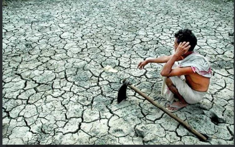 पीक कापणी प्रयोगानुसार नांदेड जिल्ह्याची आणेवारी 50 पैशापेक्षाही कमी 1 image editor output image 1997559117 1703302999614