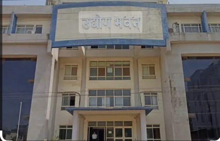 image editor output image 2056100082 1702996829313