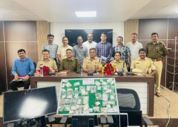 image editor output image 2071070336 1703501258192