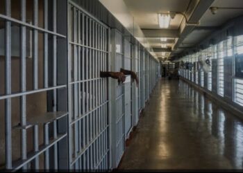 image editor output image 624806023 1703168108710