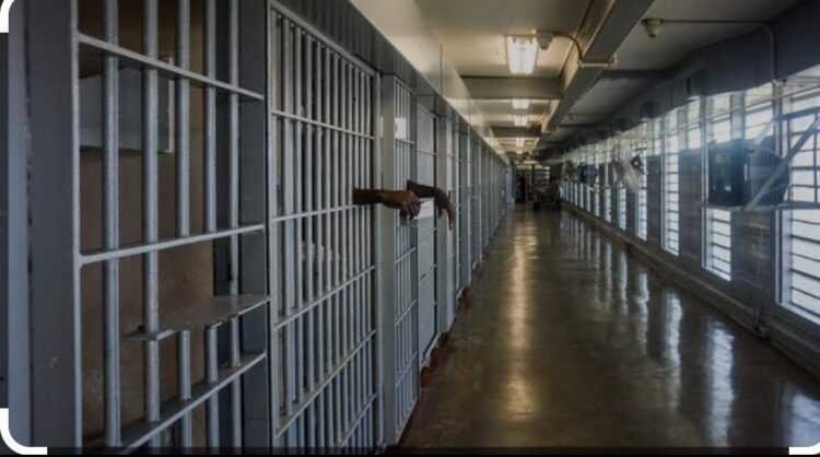 image editor output image 624806023 1703168108710