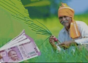 image editor output image1008628678 1703687114044