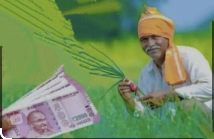 प्रधानमंत्री किसान सन्मान निधी अंतर्गत 15 जानेवारी पर्यंत जिल्ह्यात संपृक्तता मोहिम 1 image editor output image1008628678 1703687114044