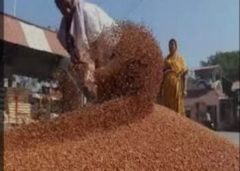 image editor output image1598525817 1703173071761