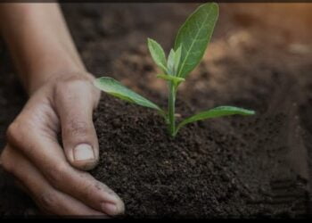 image editor output image1963159838 1701788131792