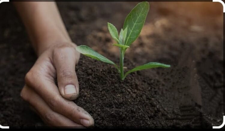 जिल्हा अधिक्षक कृषि अधिकारी जागतिक मृदा दिन साजरा 1 image editor output image1963159838 1701788131792