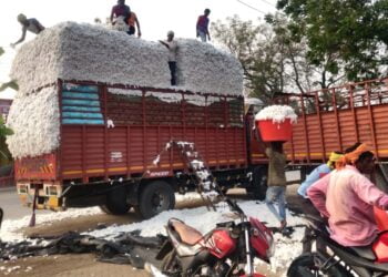 image editor output image263206364 1704022005039