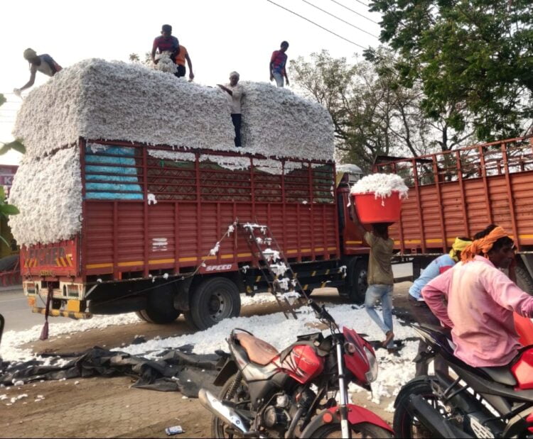 image editor output image263206364 1704022005039