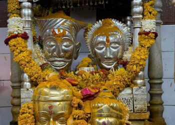 image editor output image467786870 1703302678998