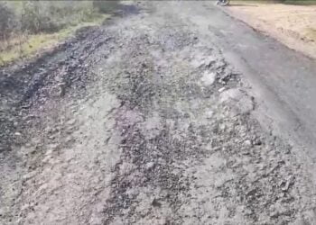 image editor output image654410182 1703664741077