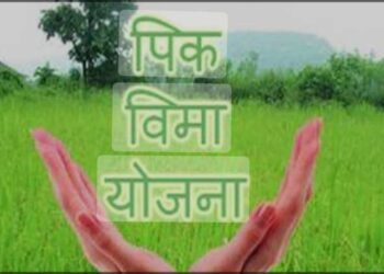 image editor output image1698402040 1704554761303