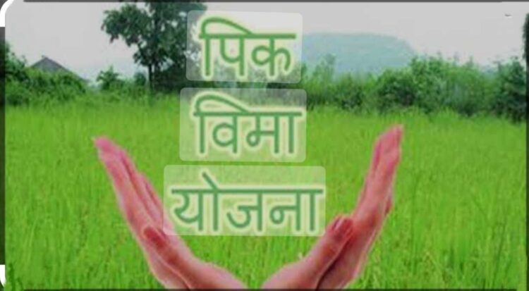 image editor output image1698402040 1704554761303