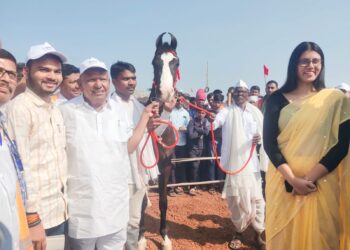 image editor output image461659621 1704983148651