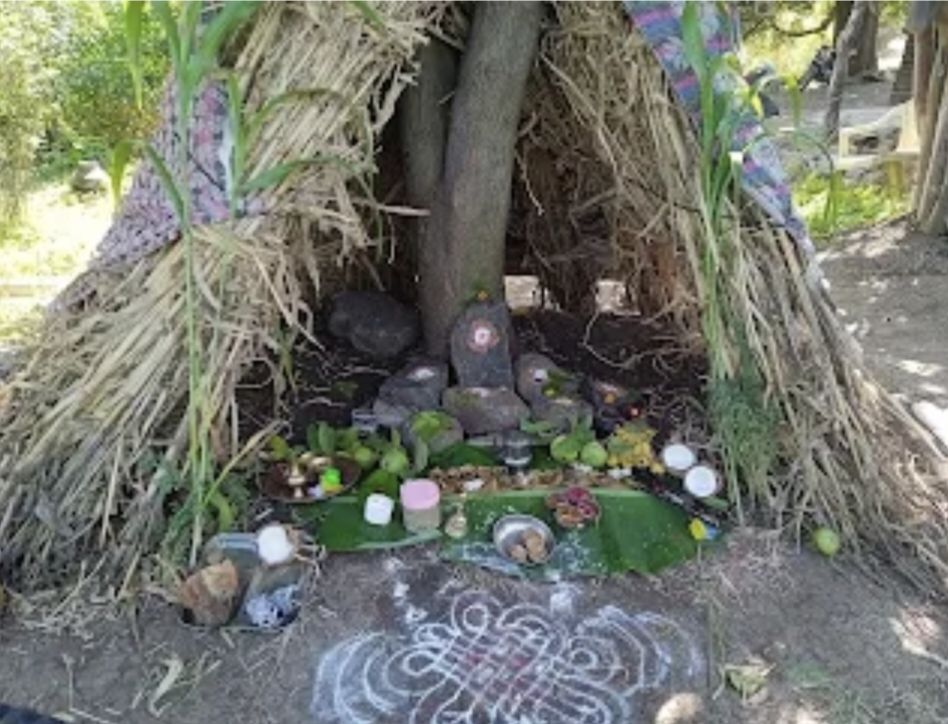 लातूर : शेतकऱ्यांचा सण वेळअमावस्या 1 img 20240111 2222531710846984658606931