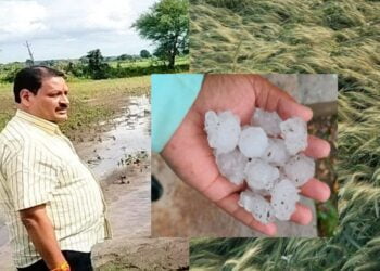 Picsart 24 02 11 18 47 46 512