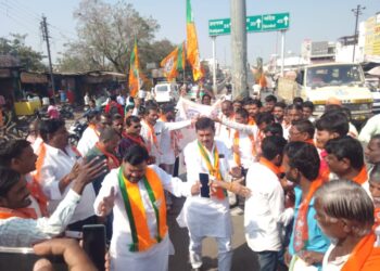 image editor output image 1539000931 1707498066402