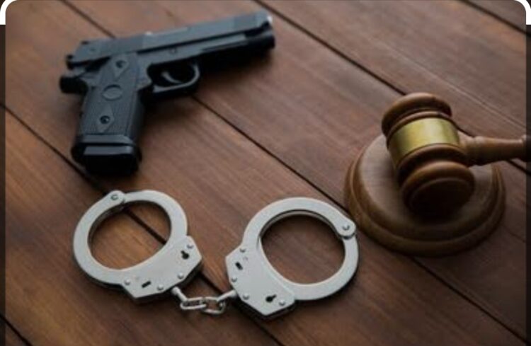 जिल्ह्यात शस्त्र व जमावबंदी आदेश लागू 1 image editor output image 1550253141 1706798540156